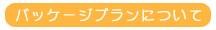 ホームページ制作のお得なパッケージプランについてはこちら