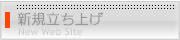 ホームページの新規立ち上げ
